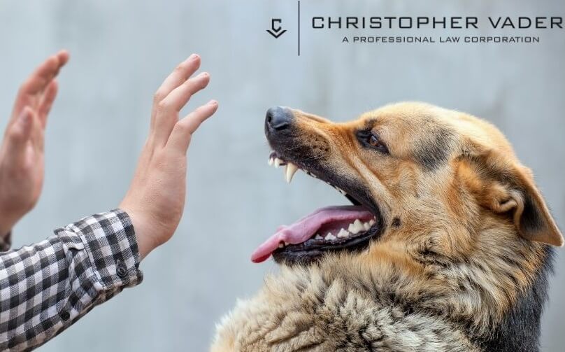 A person with their hands up against a growling dog